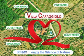 Villa Cafaggiolo apt MICHELANGELO